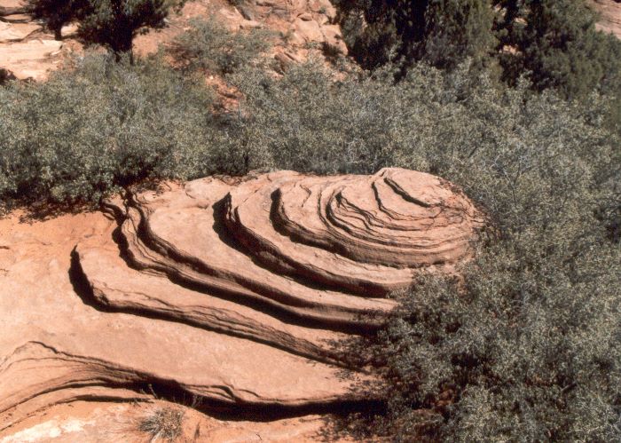 ../Images/082.Zion Canjon.jpg